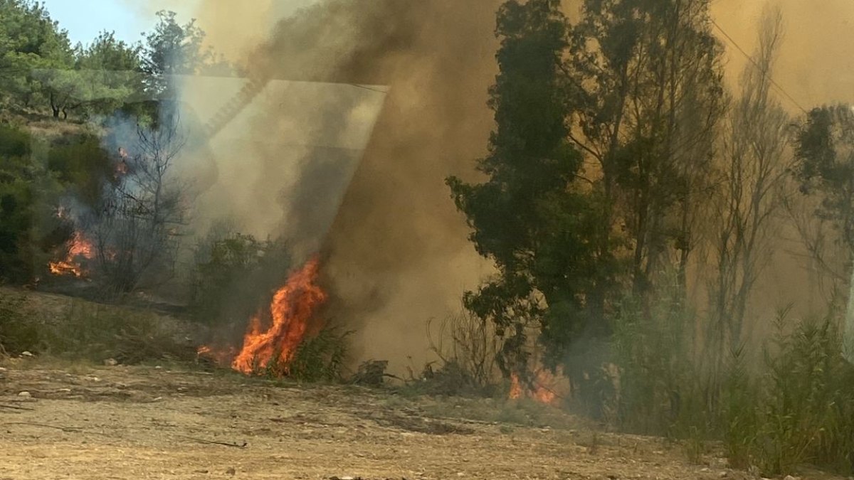 Adana'daki anız yangını ağaçlık alana yayıldı