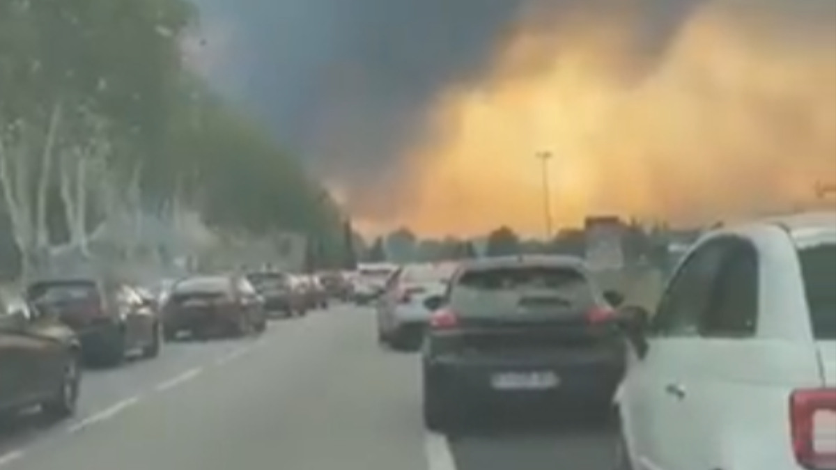 Fransa'da 500 hektar alan, çıkan yangında küle döndü