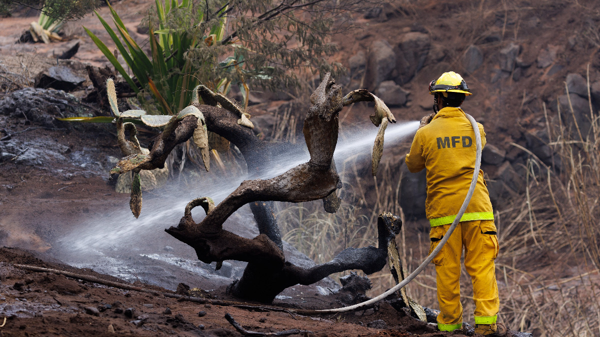 Hawaii orman yangınlarında ölenlerin sayısı artıyor: Yüzlerce kişi kayıp