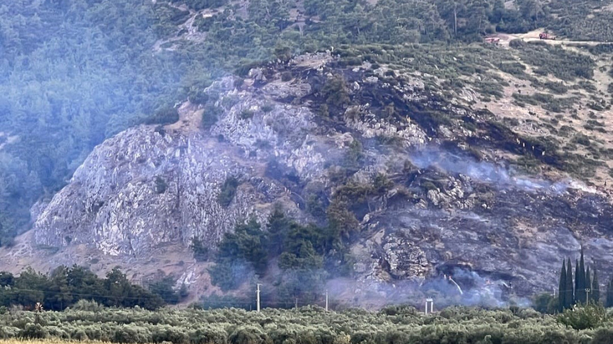 Manisa'da orman yangını bir saatte denetim altına aldı