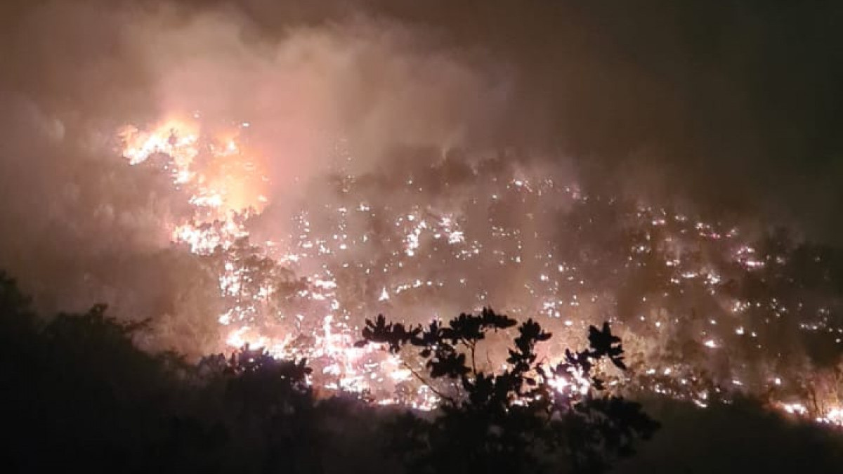 Siirt'teki orman yangını 15 saat sonra denetim altına alındı