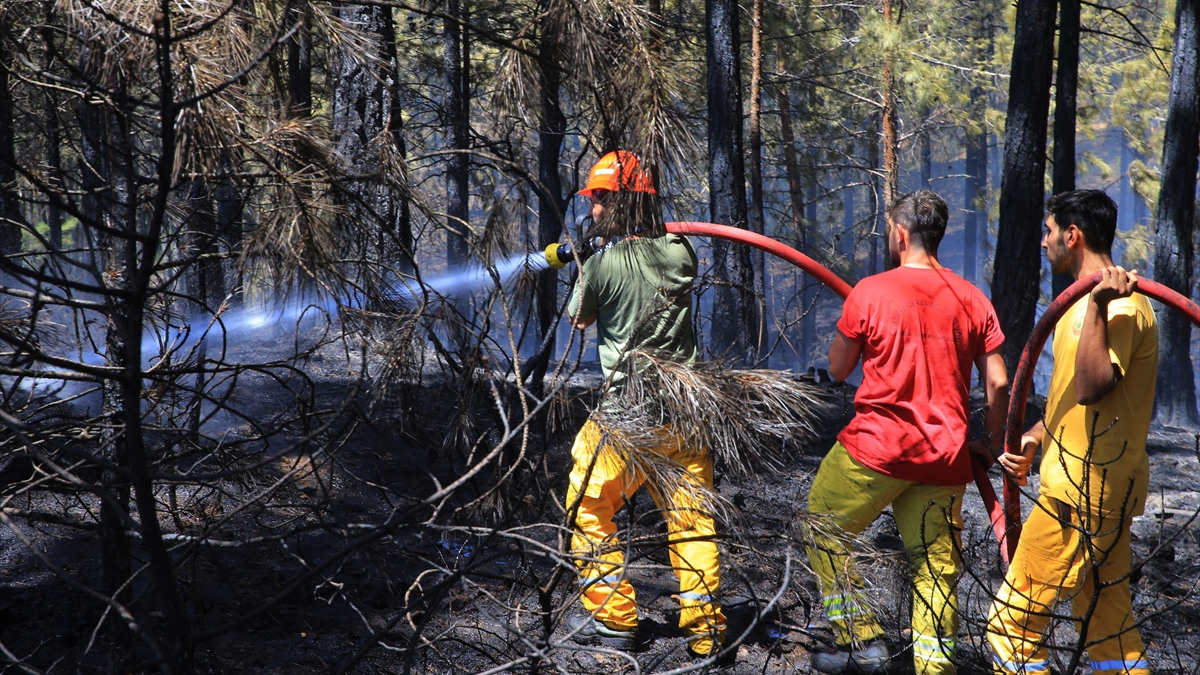 Yurt genelinde 9 günde 148 ormanda yangın çıktı