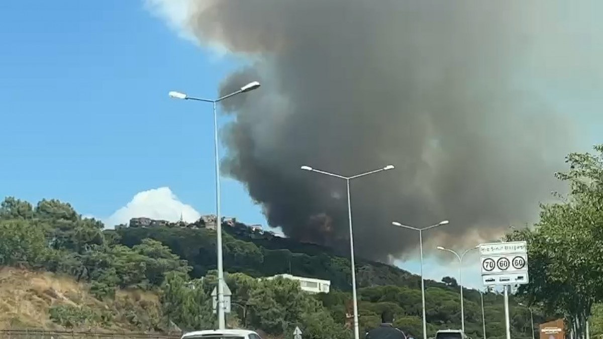 İstanbul'da orman yangını! Gruplar alevlere müdahale ediyor