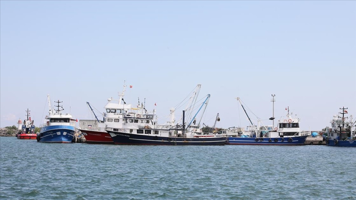 Karadenizli balıkçılar yeni dönemden umutlu