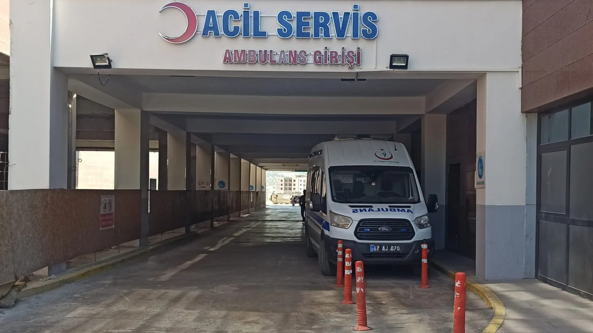 Mardin’de tır ile kamyonet çarpıştı: 1 meyyit, 9 yaralı