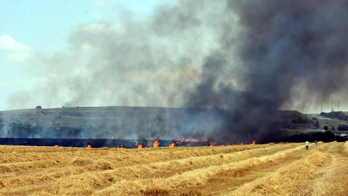 Trakya'da yangın bilançosu: 7 bin 248 dekar tarım alanı kül oldu